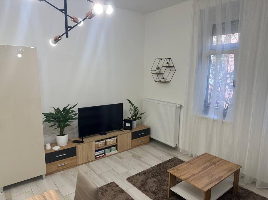 Szeged Szive Apartman מראה חיצוני תמונה
